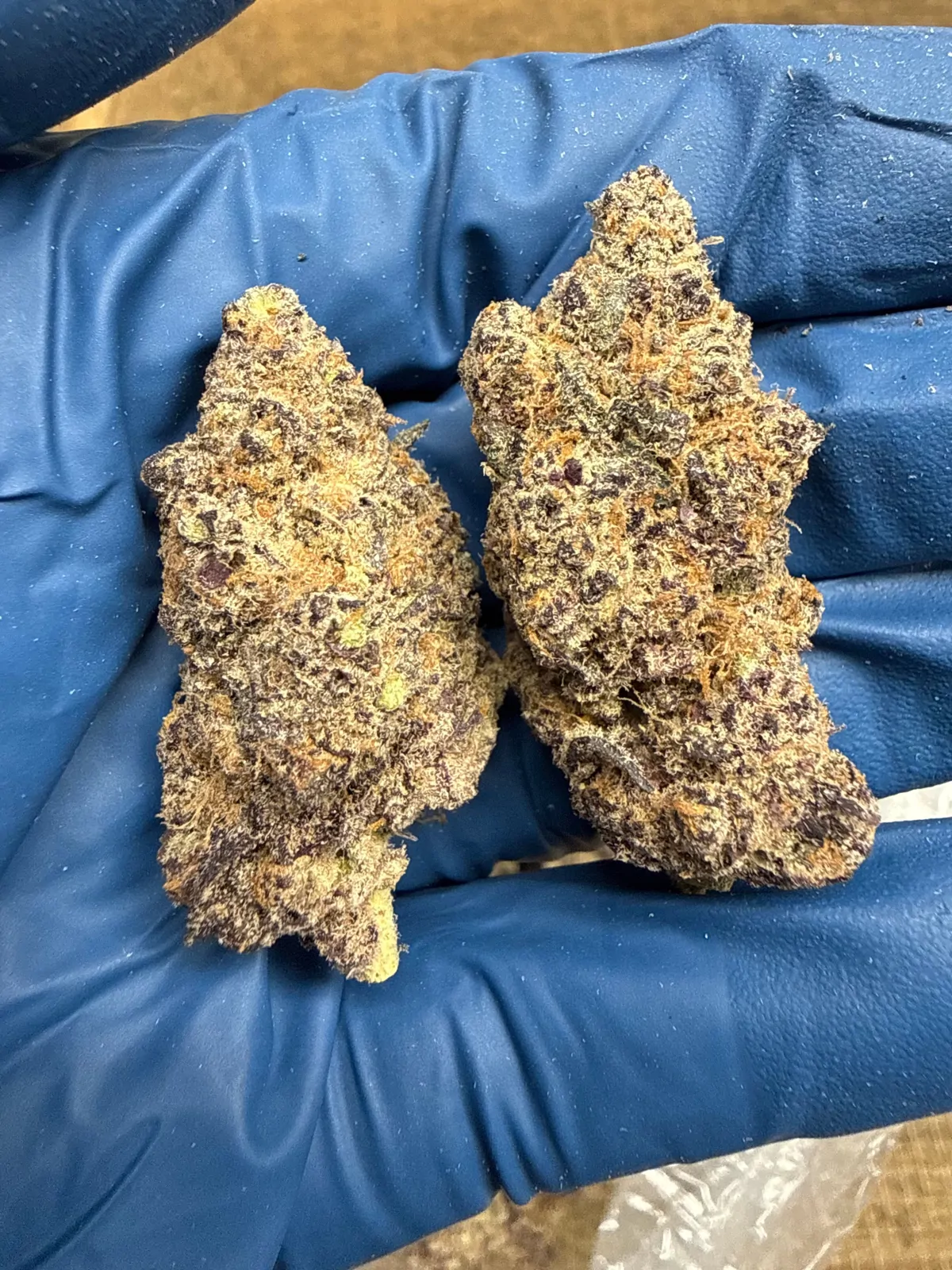 Trap Fuel Packaged Flower